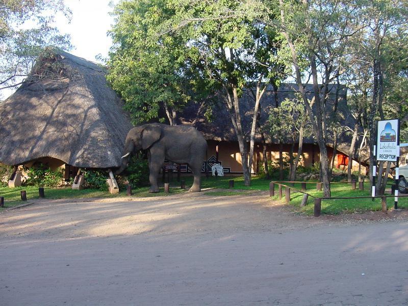Lokuthula Lodges Victoria Falls Exteriör bild